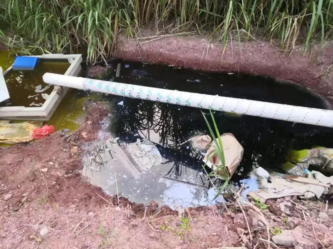 微信圖片_20191107160734.jpg 微信圖片_20191107160734.jpg